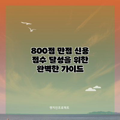 800점 만점 신용 점수 달성을 위한 완벽한 가이드