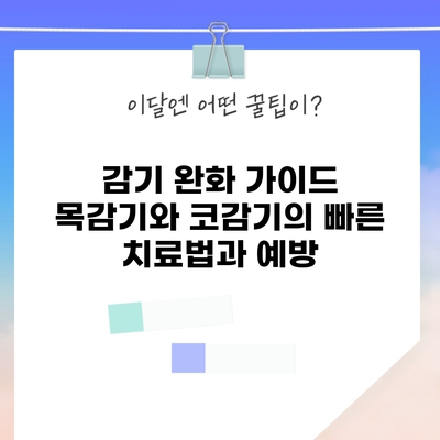 감기 완화 가이드: 목감기와 코감기의 빠른 치료법과 예방