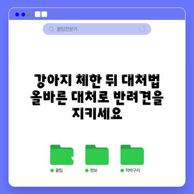 강아지 체한 뒤 대처법: 올바른 대처로 반려견을 지키세요