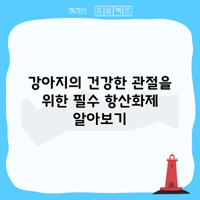 강아지의 건강한 관절을 위한 필수 항산화제 알아보기