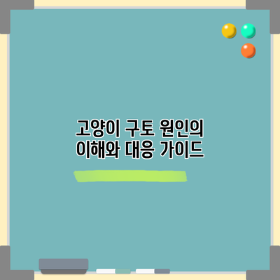 고양이 구토 원인의 이해와 대응 가이드