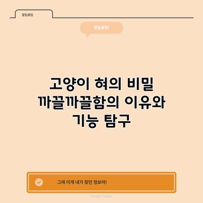 고양이 혀의 비밀: 까끌까끌함의 이유와 기능 탐구