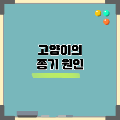 고양이의 종기: 원인