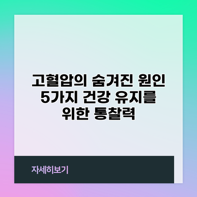 고혈압의 숨겨진 원인 5가지: 건강 유지를 위한 통찰력