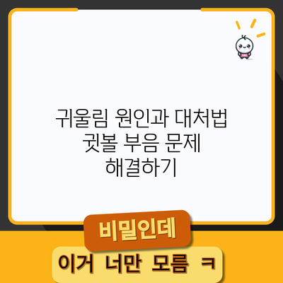귀울림 원인과 대처법: 귓볼 부음 문제 해결하기