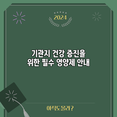 기관지 건강 증진을 위한 필수 영양제 안내