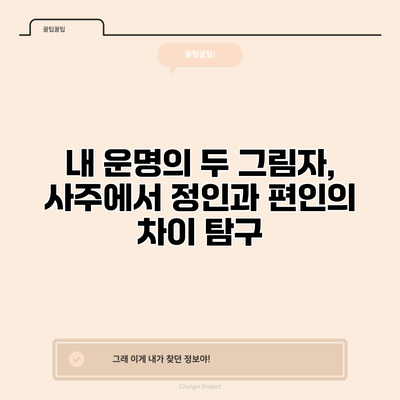 내 운명의 두 그림자, 사주에서 정인과 편인의 차이 탐구