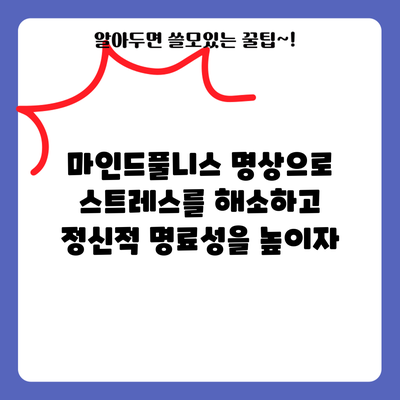 마인드풀니스 명상으로 스트레스를 해소하고 정신적 명료성을 높이자