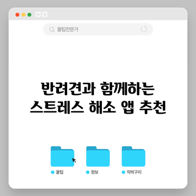 반려견과 함께하는 스트레스 해소 앱 추천