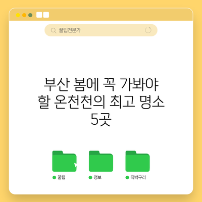 부산 봄에 꼭 가봐야 할 온천천의 최고 명소 5곳