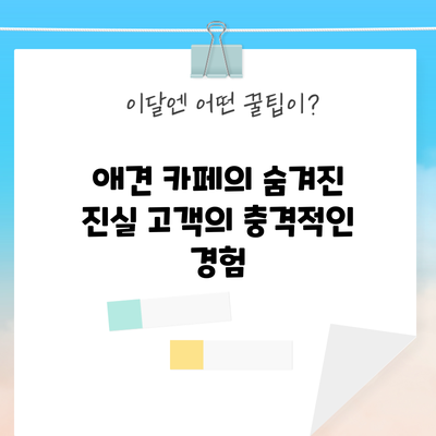 애견 카페의 숨겨진 진실: 고객의 충격적인 경험