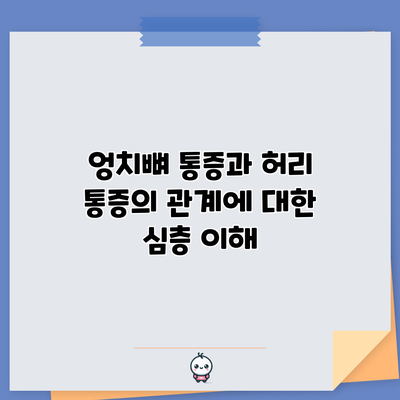 엉치뼈 통증과 허리 통증의 관계에 대한 심층 이해