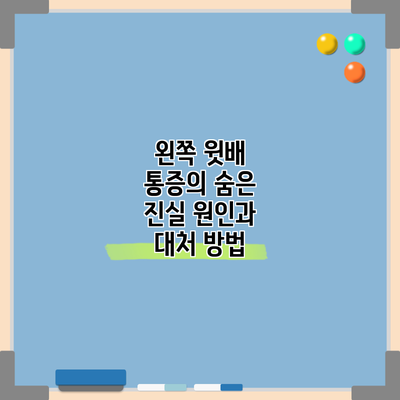 왼쪽 윗배 통증의 숨은 진실: 원인과 대처 방법