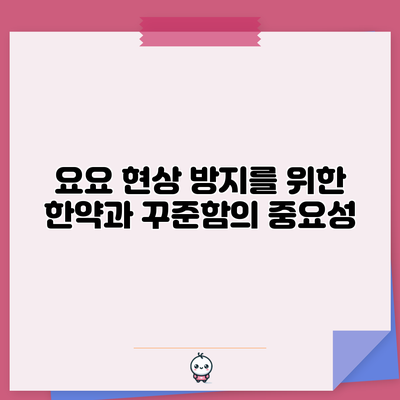 요요 현상 방지를 위한 한약과 꾸준함의 중요성