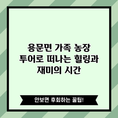 용문면 가족 농장 투어로 떠나는 힐링과 재미의 시간