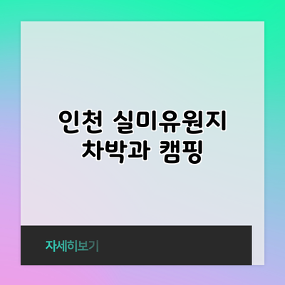 인천 실미유원지 차박과 캠핑
