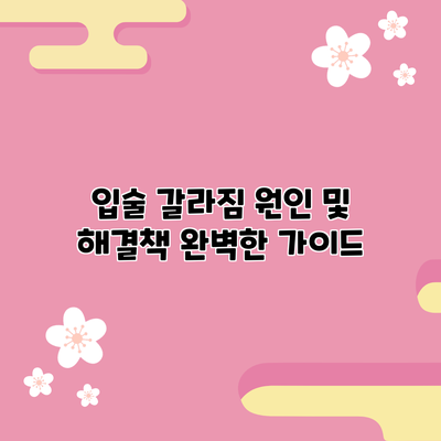 입술 갈라짐 원인 및 해결책: 완벽한 가이드