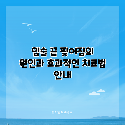입술 끝 찢어짐의 원인과 효과적인 치료법 안내