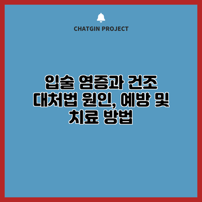 입술 염증과 건조 대처법: 원인, 예방 및 치료 방법