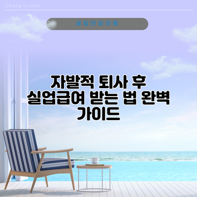 자발적 퇴사 후 실업급여 받는 법: 완벽 가이드