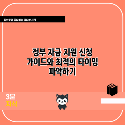 정부 자금 지원 신청 가이드와 최적의 타이밍 파악하기