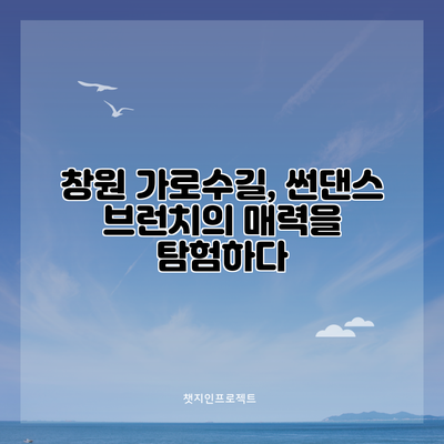 창원 가로수길, 썬댄스 브런치의 매력을 탐험하다