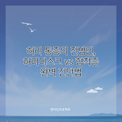 허리 통증의 진범인, 허리디스크 vs 협착증 완벽 진단법
