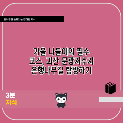 가을 나들이의 필수 코스, 괴산 문광저수지 은행나무길 탐방하기