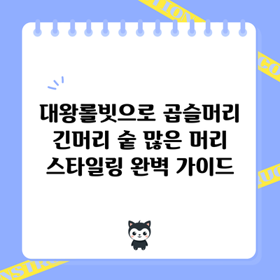 대왕롤빗으로 곱슬머리 긴머리 숱 많은 머리 스타일링 완벽 가이드