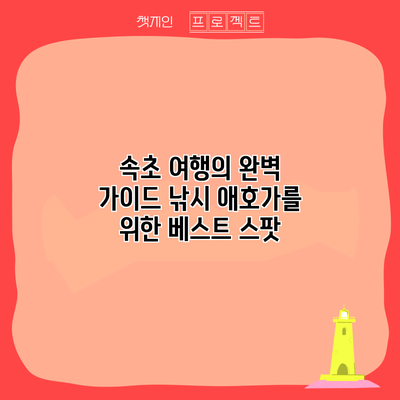 속초 여행의 완벽 가이드: 낚시 애호가를 위한 베스트 스팟