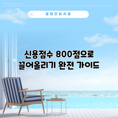 신용점수 800점으로 끌어올리기: 완전 가이드