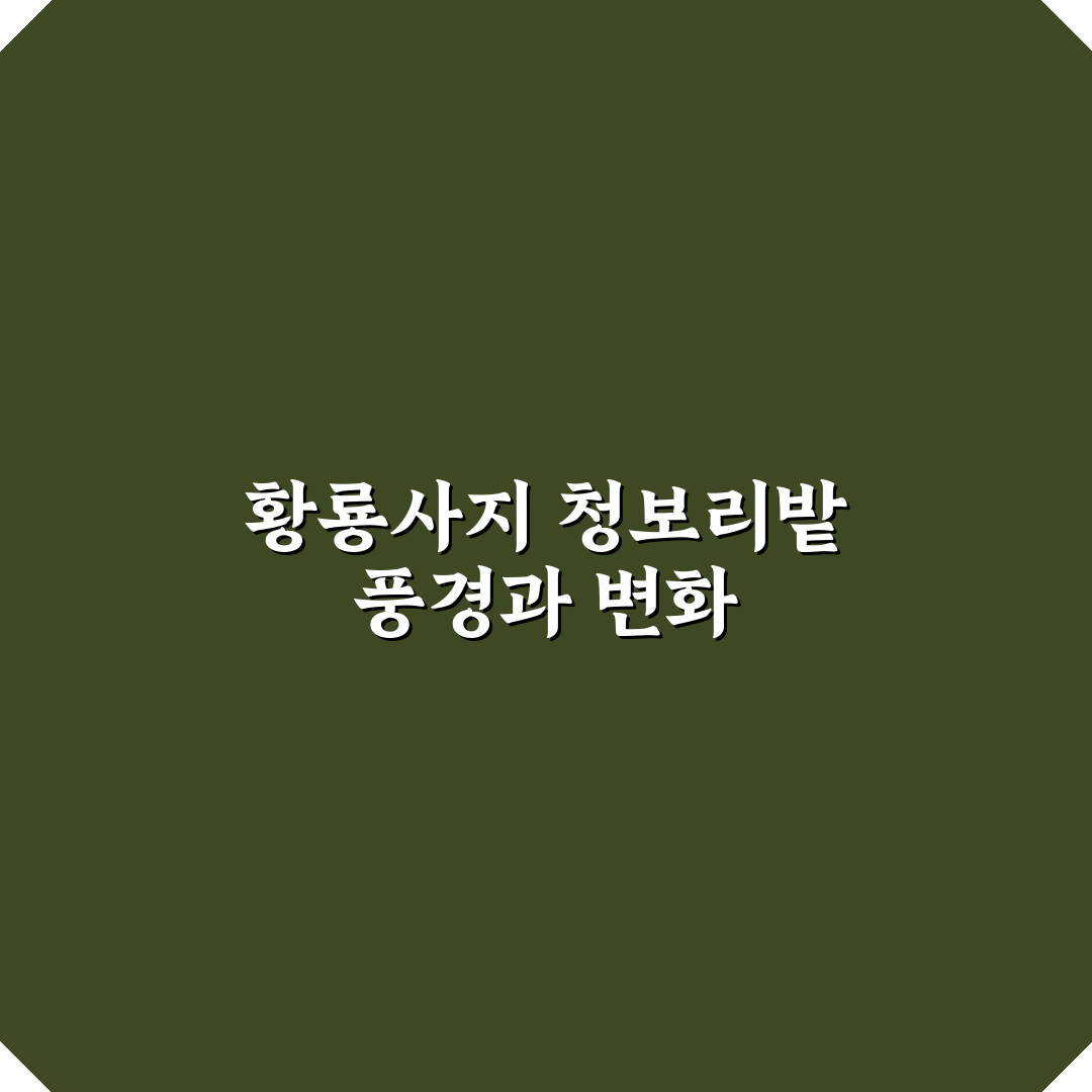 황룡사지 청보리밭 방문 전 체크포인트 5가지 분석