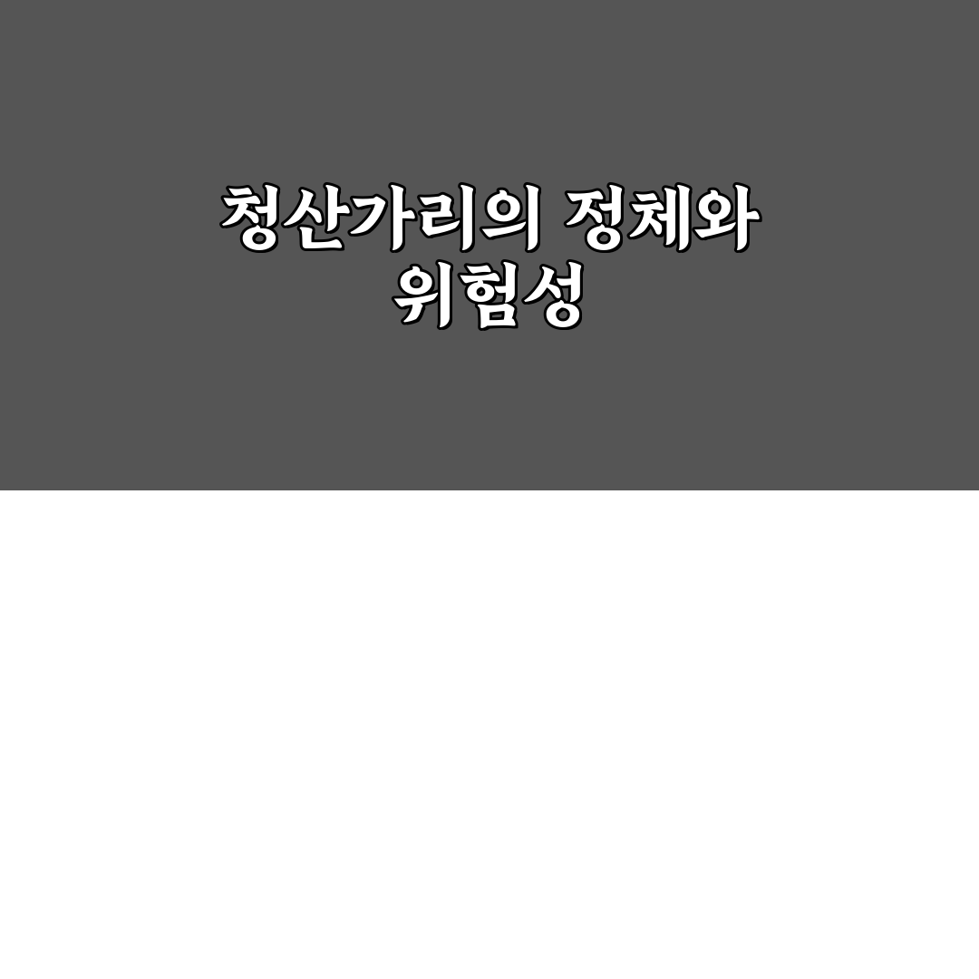 청산가리 뜻 쉽게 이해하는 성분과 위험성 핵심 정보 한눈에 정리